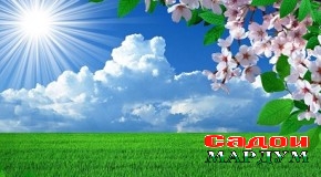 Субҳи навбаҳор