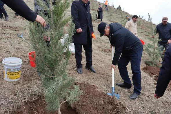 Дар минтақаи Рашт зиёда аз 10 ҳазор ниҳол шинонда шуд