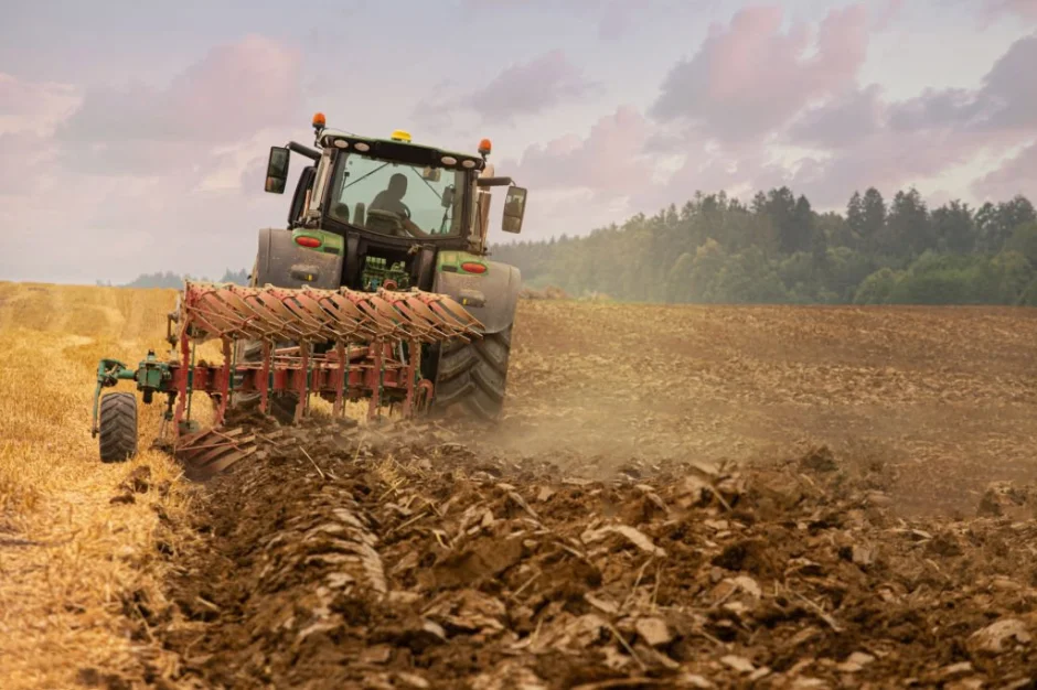 Кишти баҳорӣ идома дорад