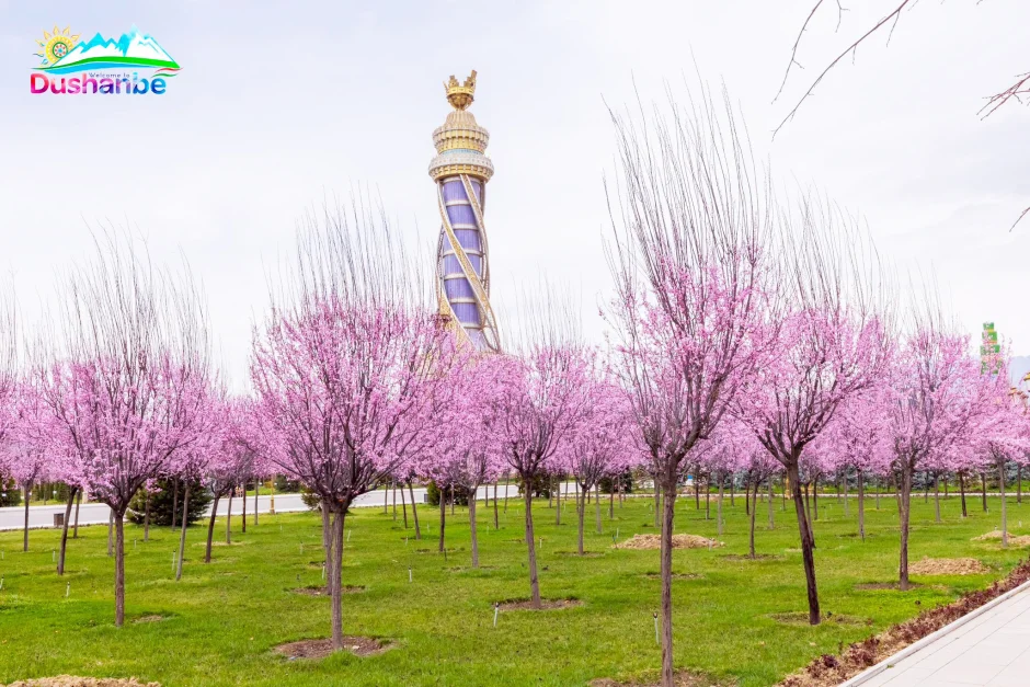 Пойтахти фарҳангии Осиё