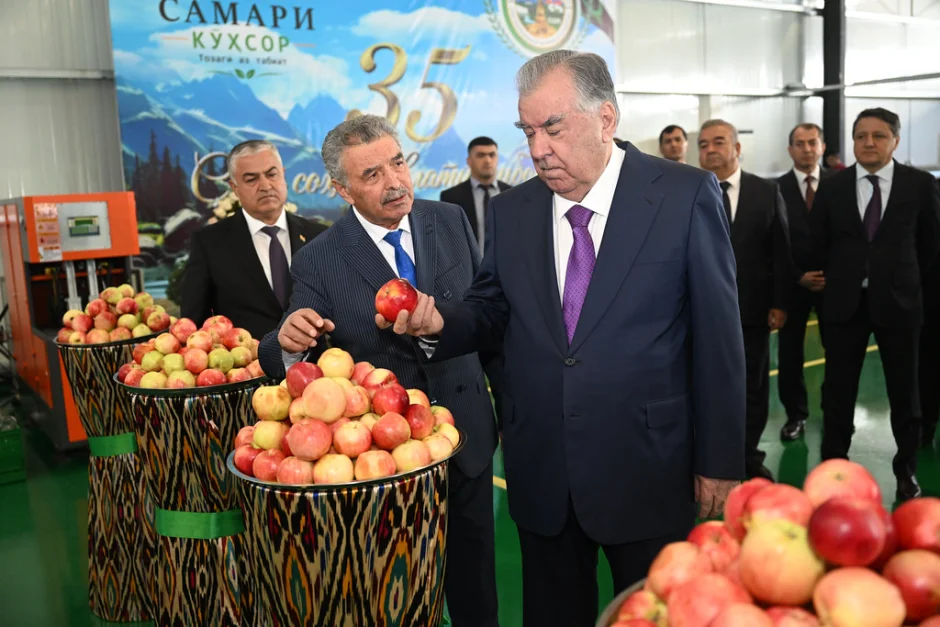 Ба истифода додани корхонаҳои бастубанди мева, истеҳсоли мебел ва маҳсулоти сохтмонӣ дар шаҳри Хоруғ