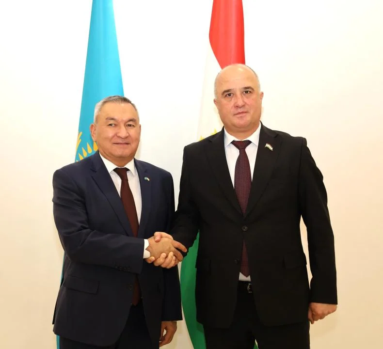 Мулоқоти Файзалӣ Идизода бо Валихан Туреханов